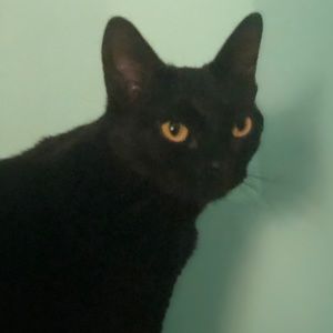 Meet your Posher, Joseph